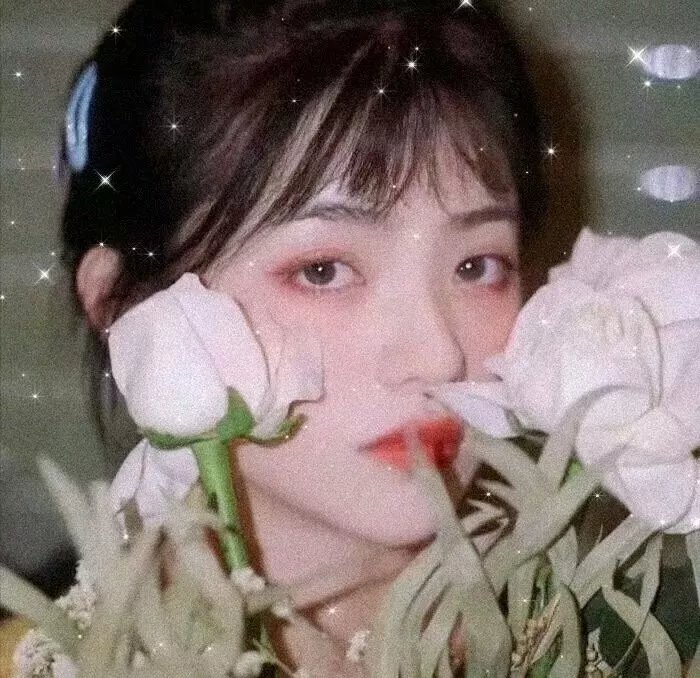 心灵的故事